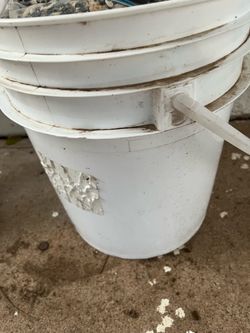 White Buckets Containers