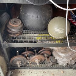 Various Weights And Exercise Stuff 