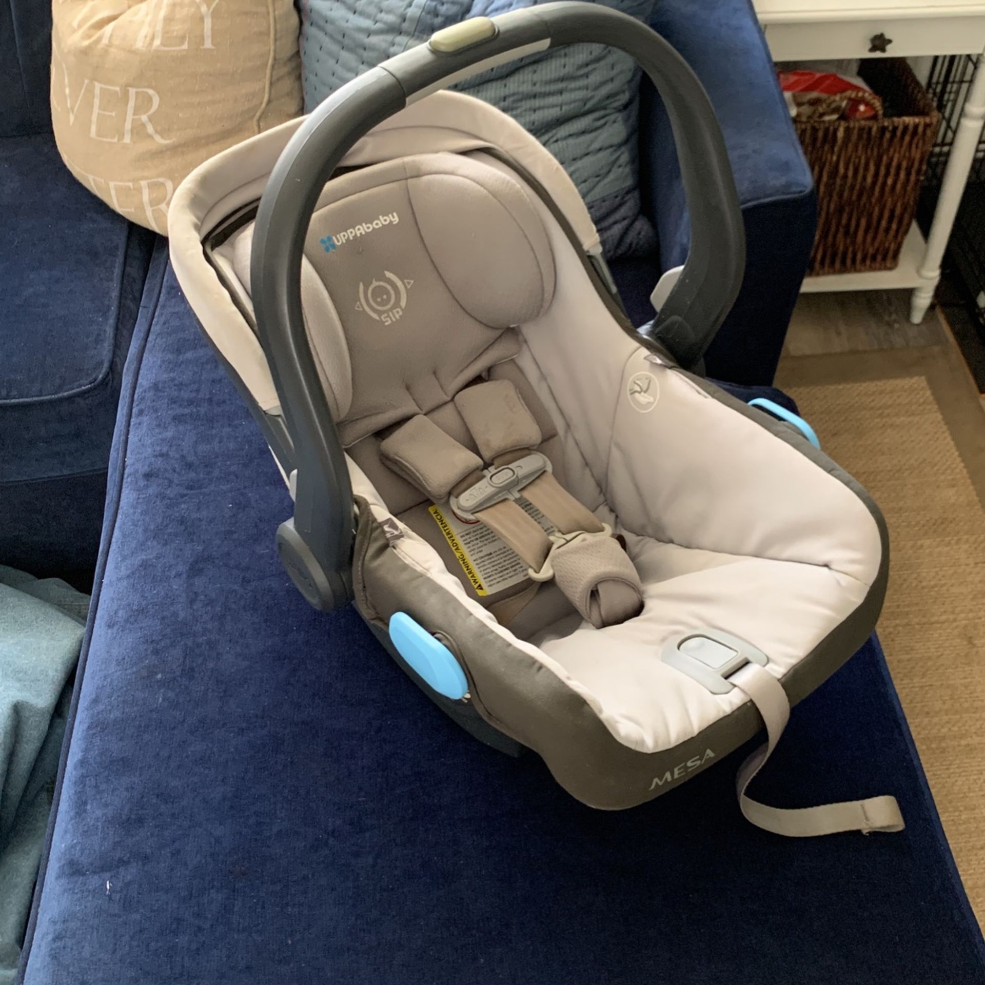 UPPABABY MESA CARSEAT