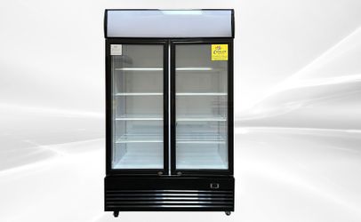 NSF 48 inches two glass door refrigerator LG1000