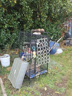Bird Cage
