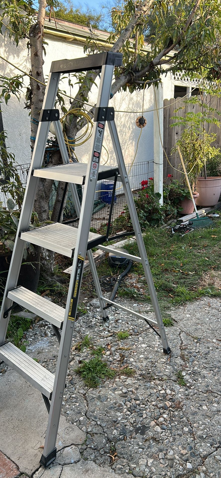 Ladder 