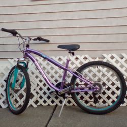 Schwinn Bike 24 inch