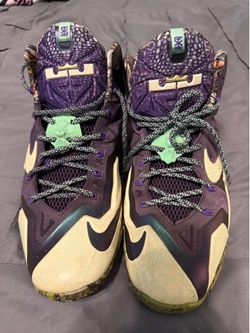 LeBron 11 shoes