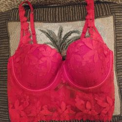 34DD Bright Red Embroidered Bustier