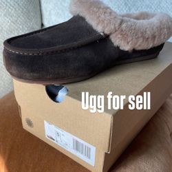 Uggs Boots 