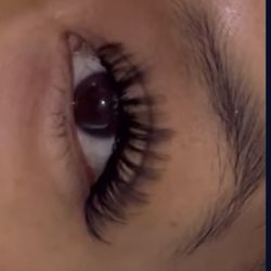 Lashes