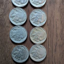 Buffalo Nickels Whole Set