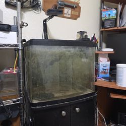 29 Gal Bio Cube Tank  