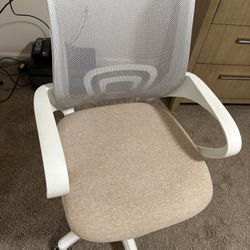 Computer/Desk Chair 