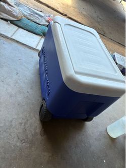 Cooler