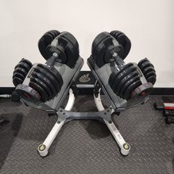 Bowflex Dumbbells, Stand & Bench