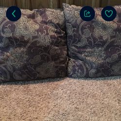 2 Large Throw Pillows 