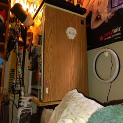 Mini Fridge 