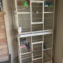 Double Parrot Cage