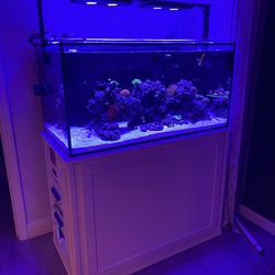 Turn Key  Saltwater 120 Gal Reef System