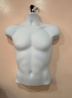 Male torso mannequin