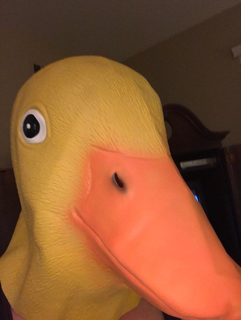 Halloween Mask: Duck.