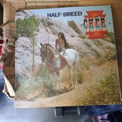 Cher Vinyl Record 