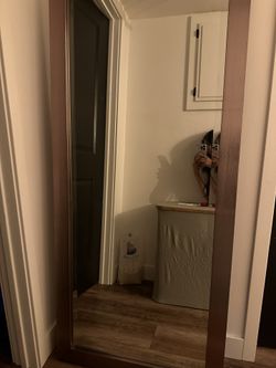 Tall Mirror Bronze Frame