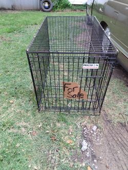 Animal Cage 