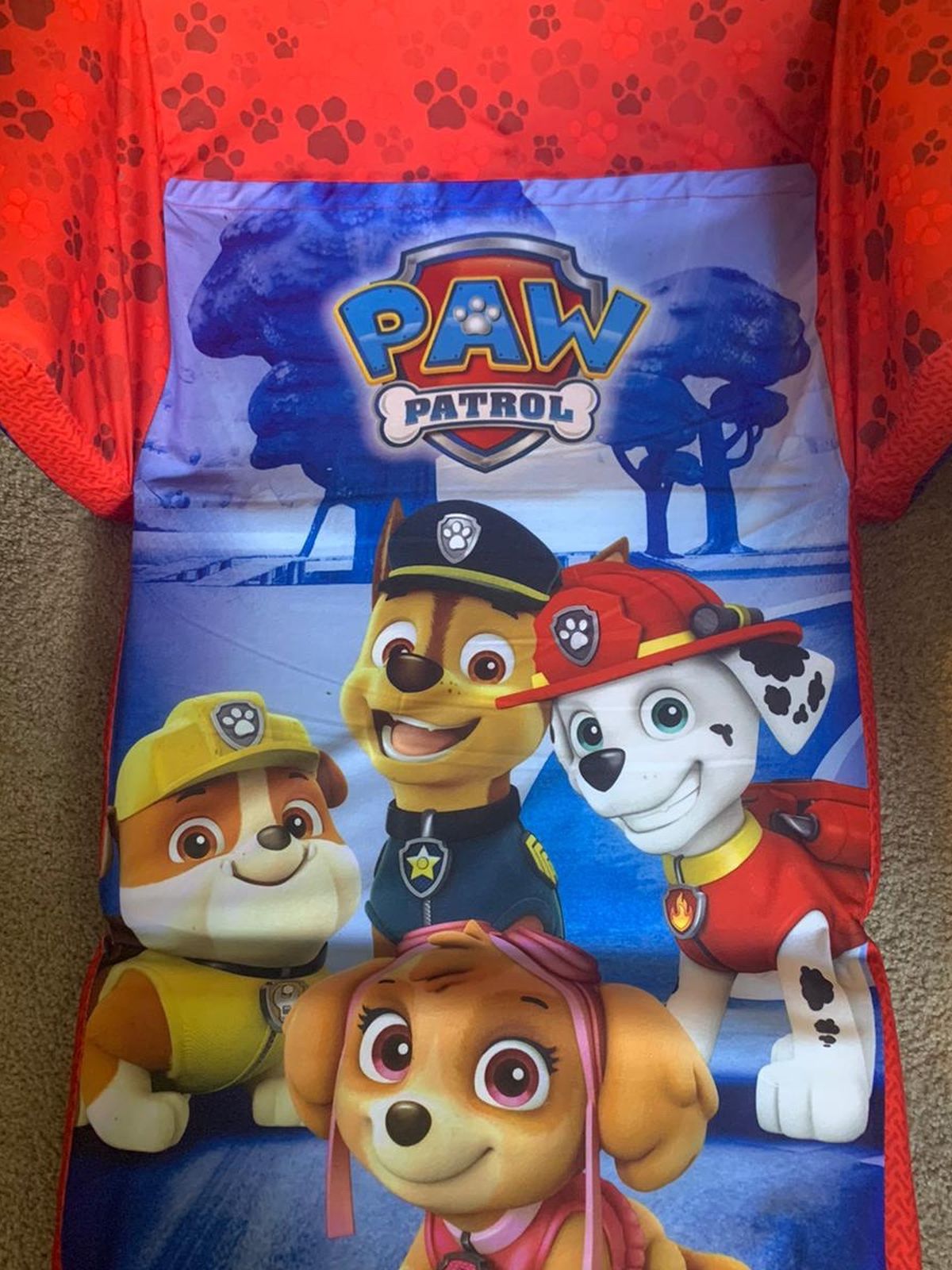 paw patrol chair