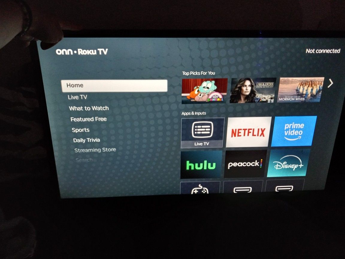 Roku 32 Inch TV