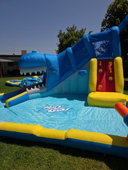 H20 Go Whale Waterslide