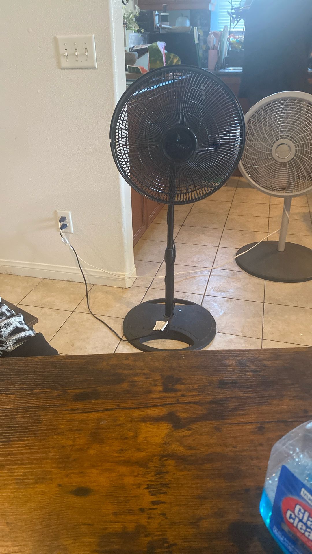 Fan