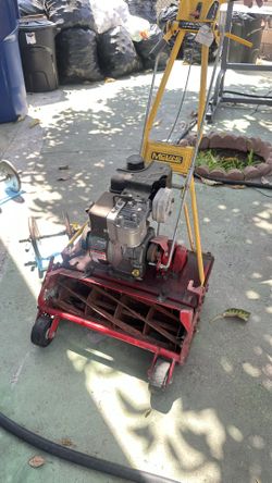 Mclane Cutter