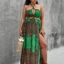 Plus Size Dress 