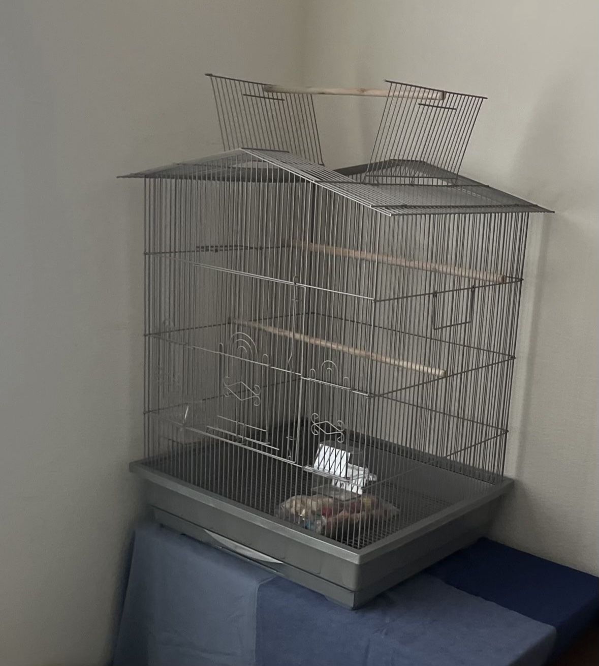 Bird Cage