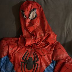 Spiderman dress up costume