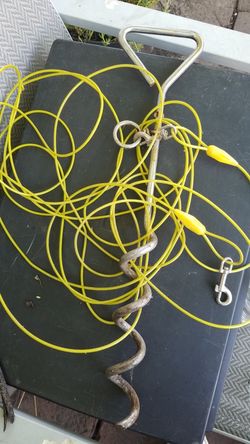 Dog stake and leash