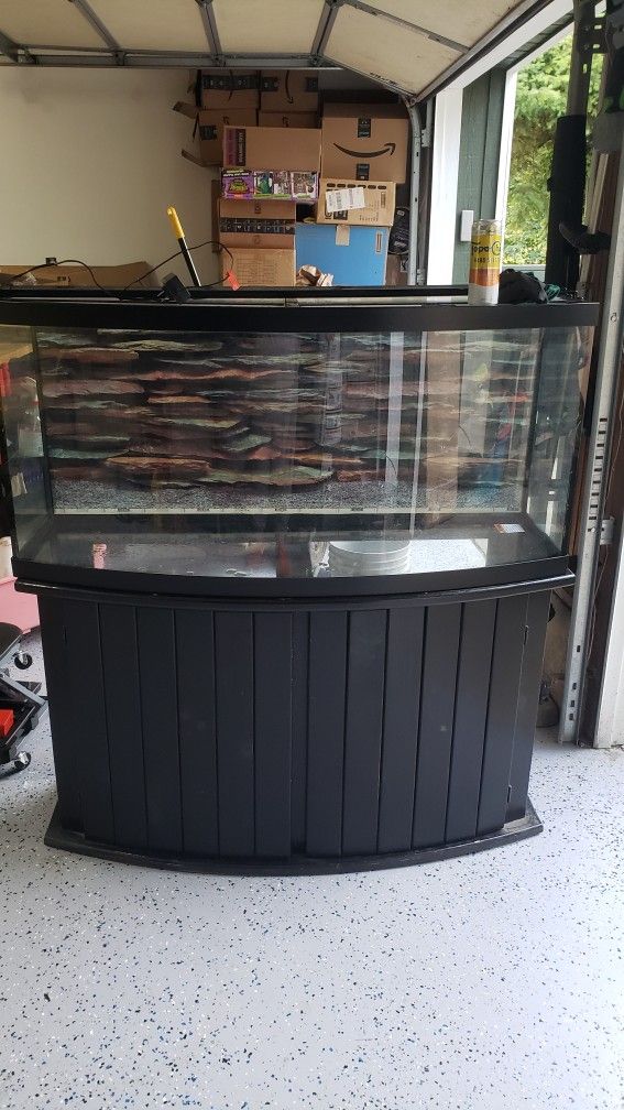 72 Gallom Bow Front Aquarium