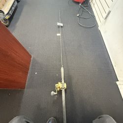Shimano Fishing Reel 