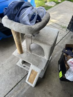 Cat Toy