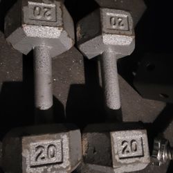 20lbs Dumbells  Weights