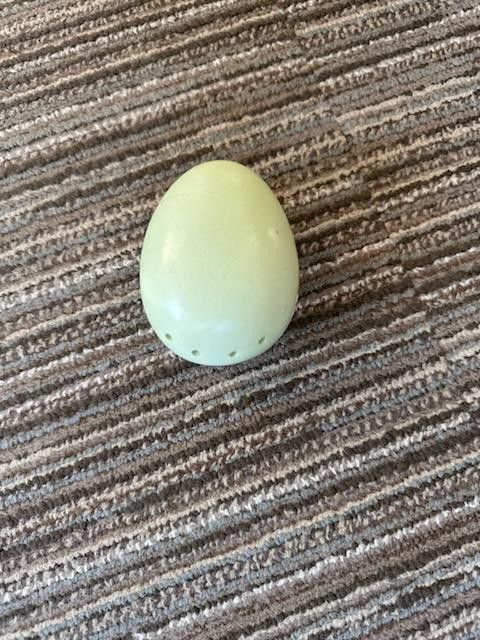 Egg Porcelain $5 Everson Washington