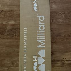 Pull out sofa mattress