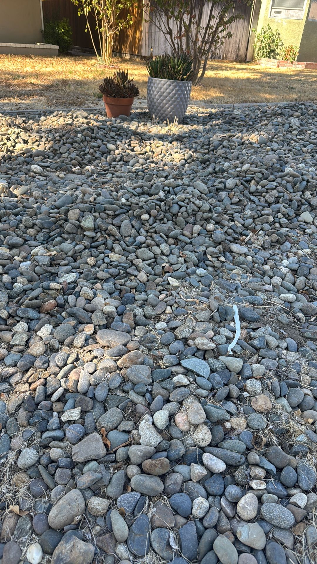 Free Rock