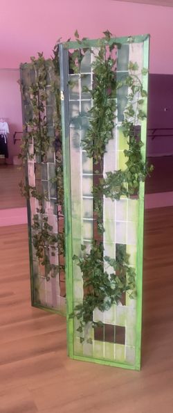 Room divider/ Photo Background