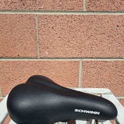 Schwinn Seat Bike 🚲
