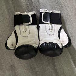 Everlast Boxing Gloves 