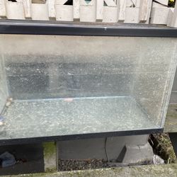 Fish Or Reptiles Tank