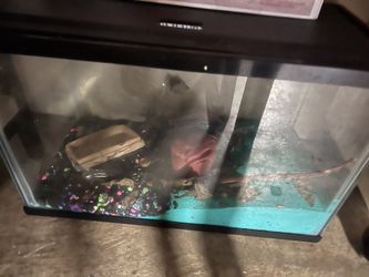 Aquarium
