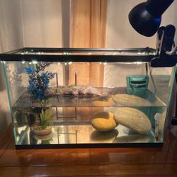 30 Gallon Aquarium Complete 