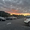 Dawn 