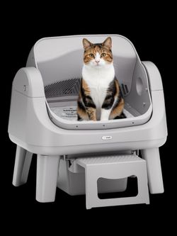 Petpivot open top self cat littler box