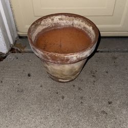 Flower Pot